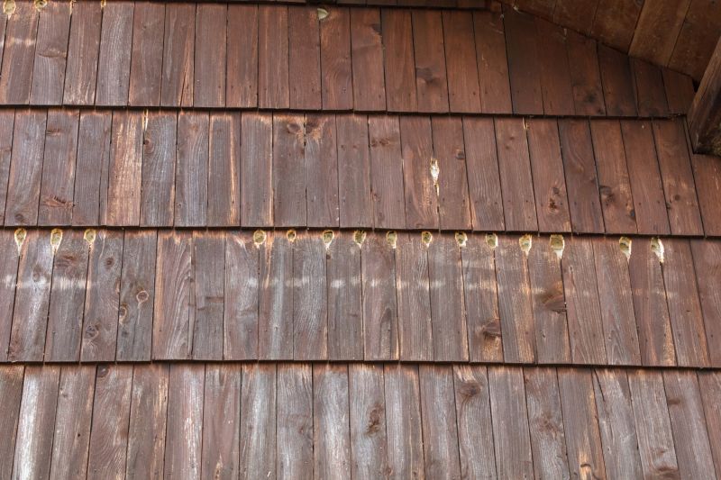 Shiplap Siding Repair detail
