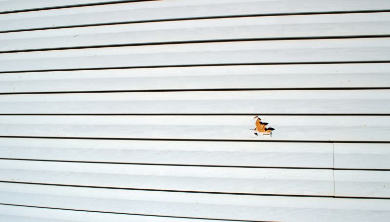 Weatherproofing and Sealing